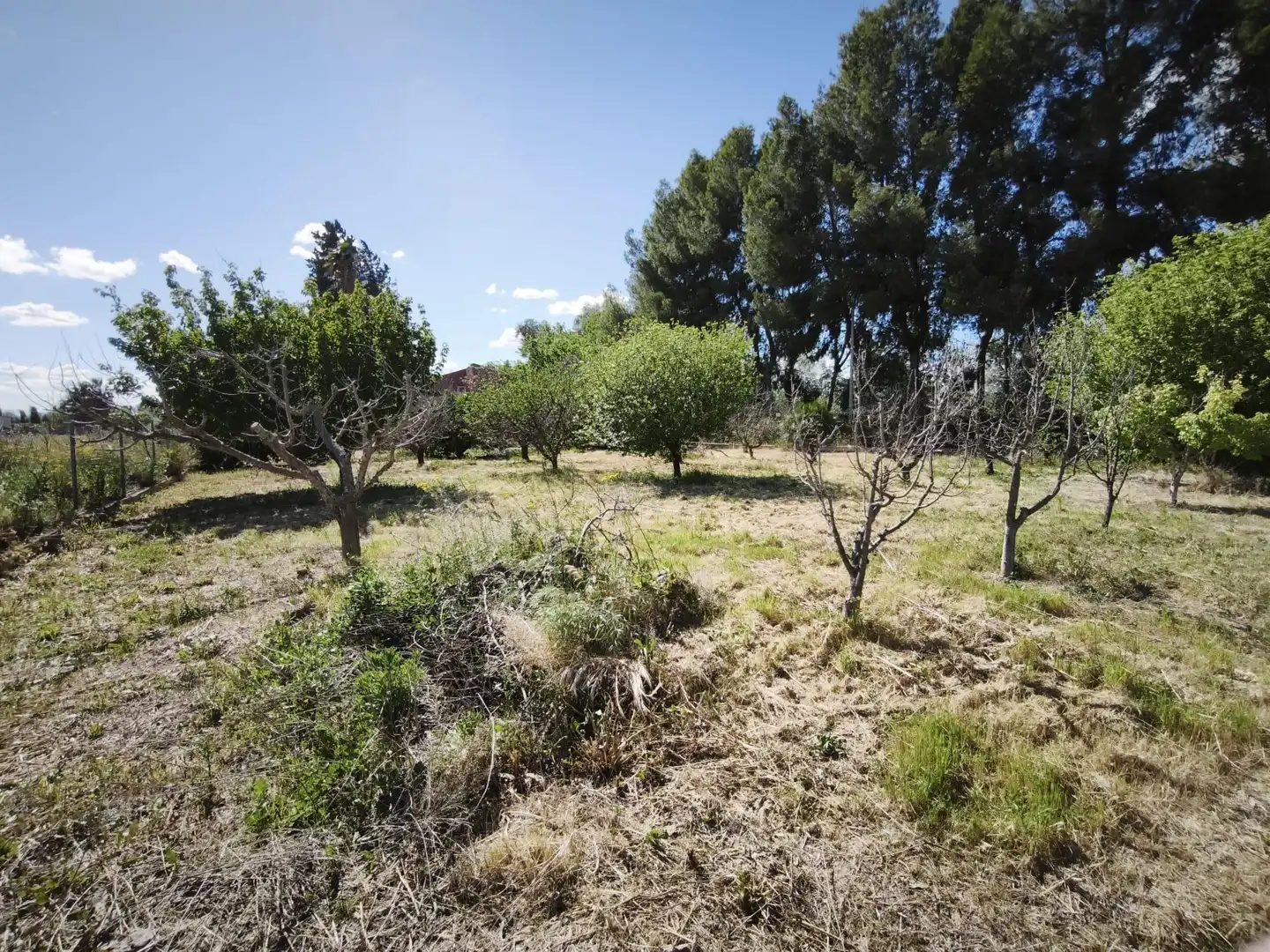 Houses for sale in Molina de Segura