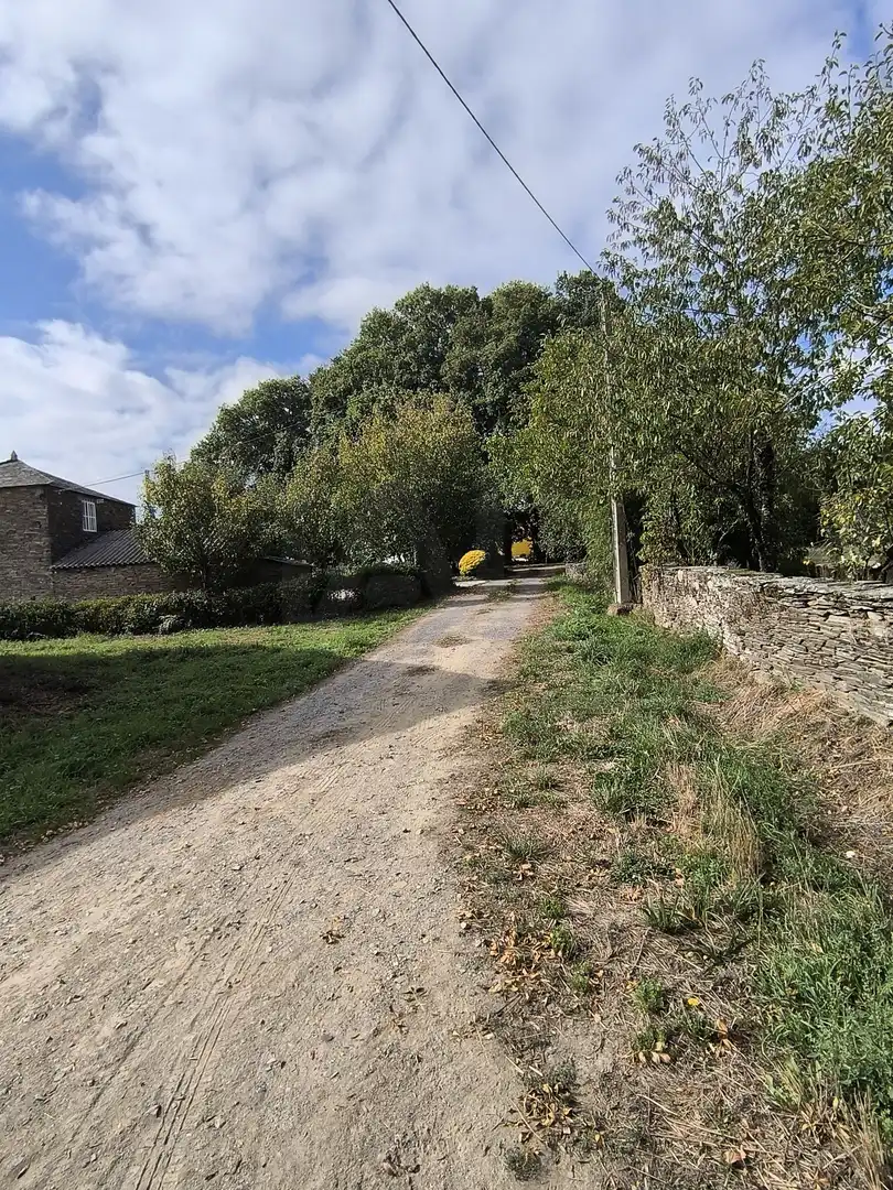 Casa rústica en venta en Outeiro de Rei, imagen 24