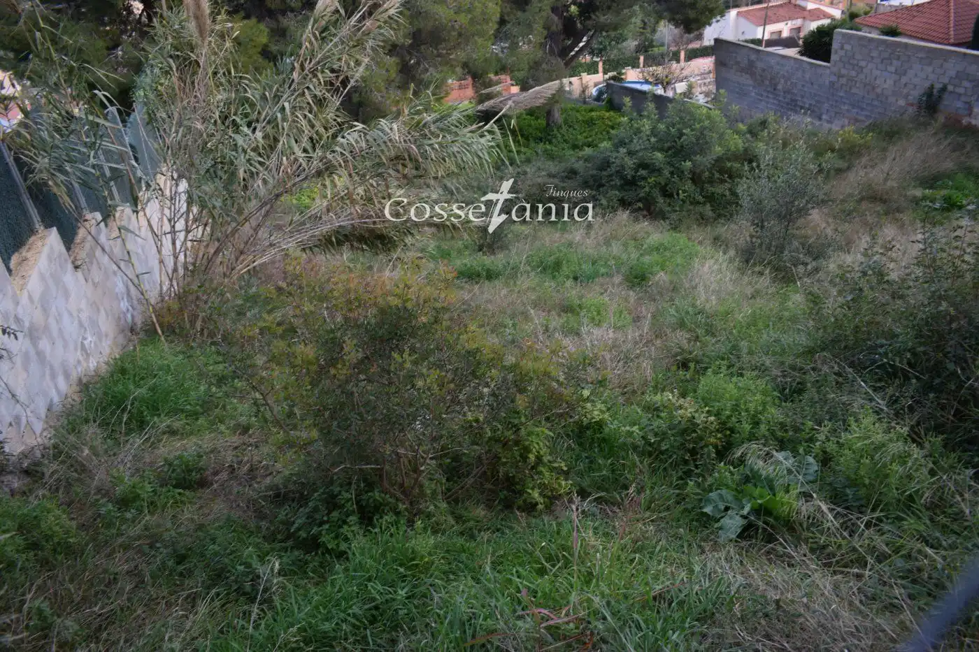Terrain rustique à vendre à MAS CANYIS, imagen 6