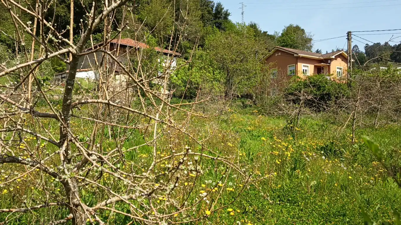 Residential land for sale in CD-1, imagen 10
