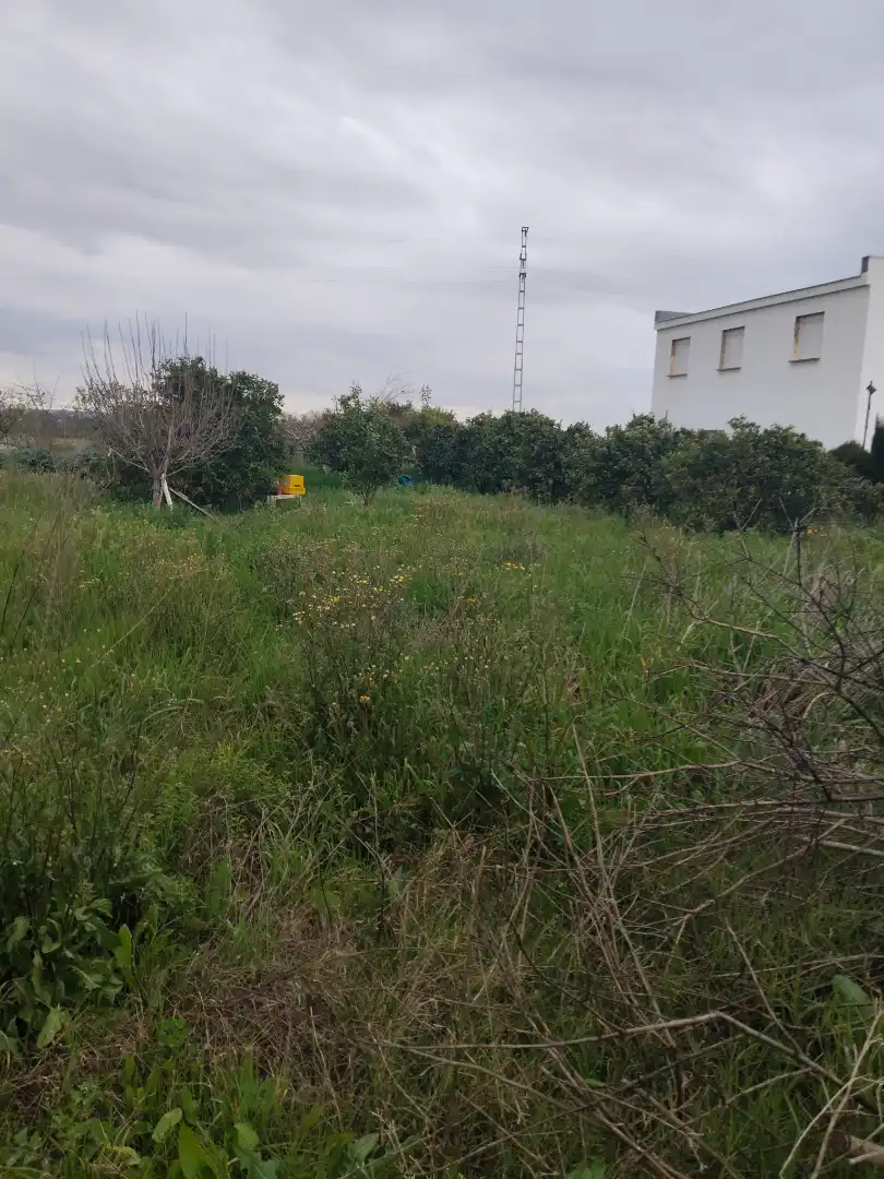 Terreno rustico in vendita a Alcalá del Río, imagen 8