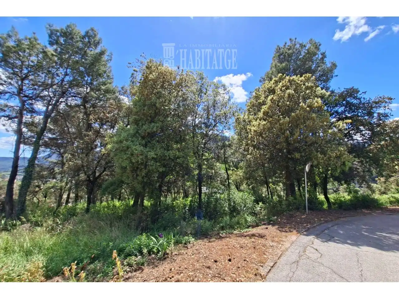 Terreno rustico in vendita a Calle Maria Fortuny, imagen 2