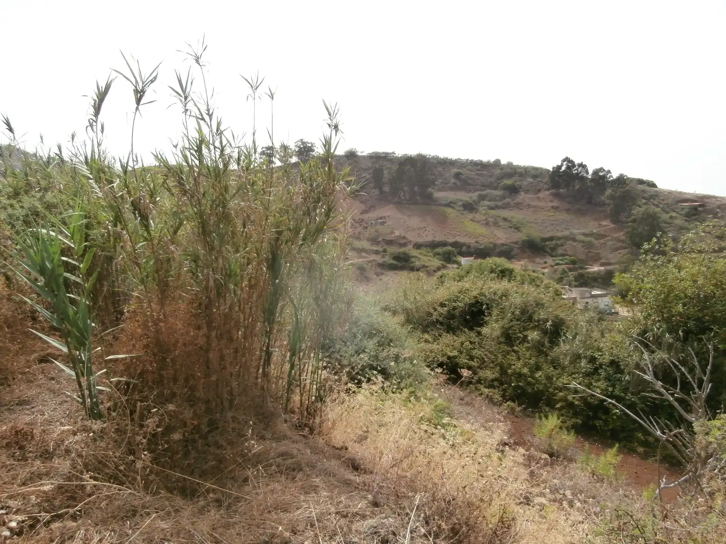 Finca rústica en venta en Camino Lomo el Marco, 41, Moya (Las Palmas)