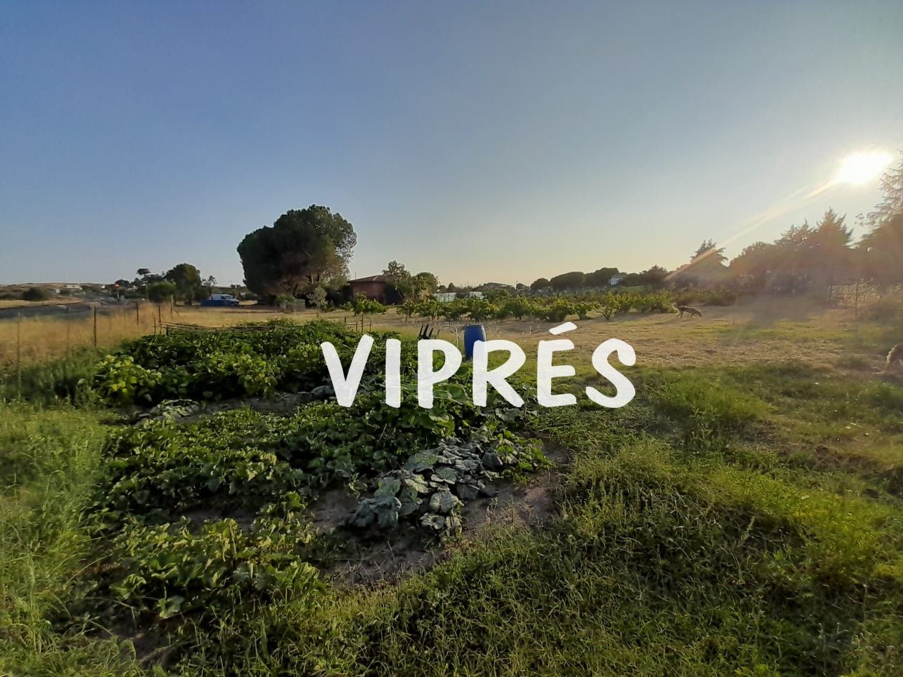 Finca rústica en venda en Casar de Cáceres amb Aire condicionat, Calefacció i Piscina