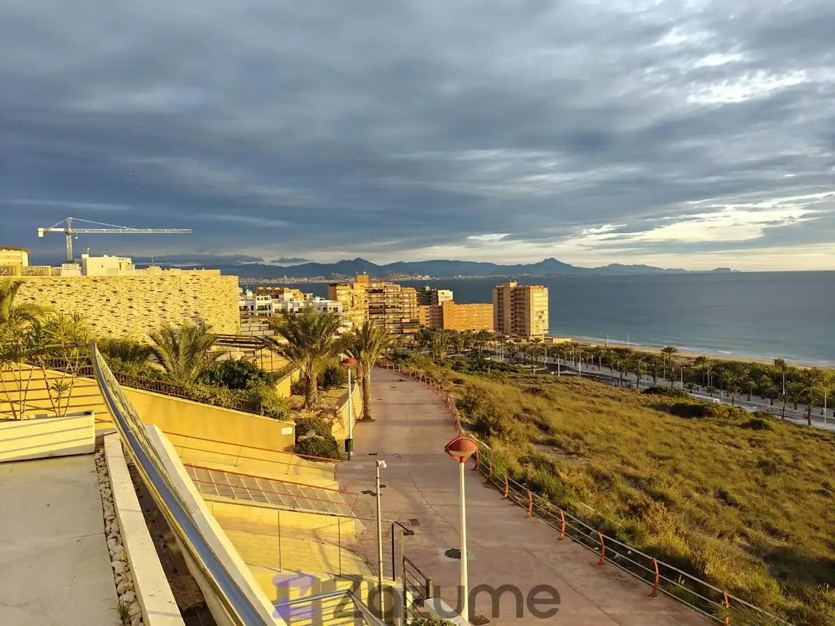 Mini appartamento con terrazza in affitto a P.º Soria, imagen 5