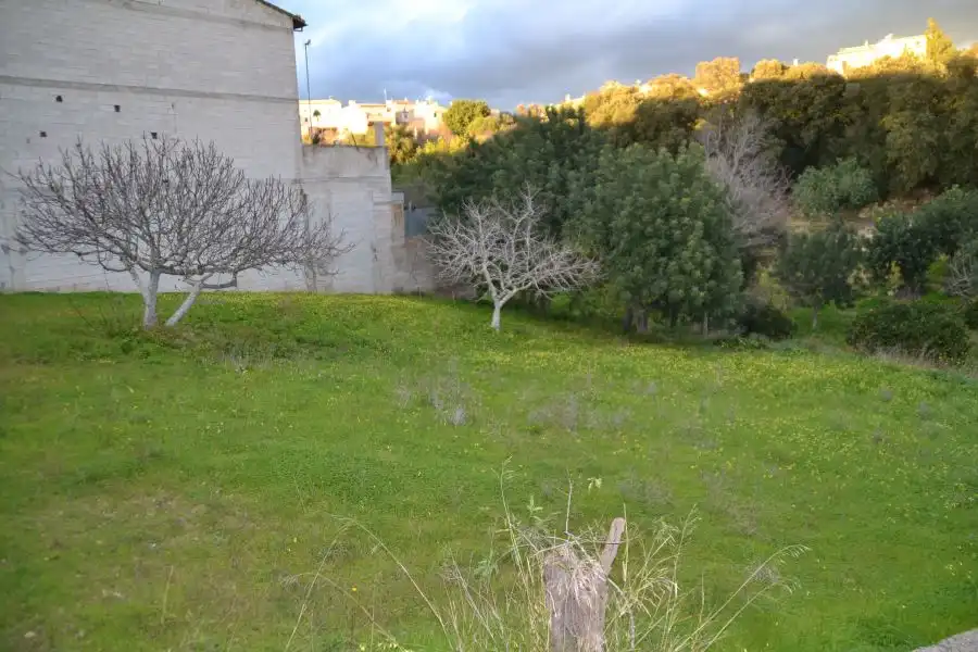Terrenys i solars en venda a Campanet, imagen 6