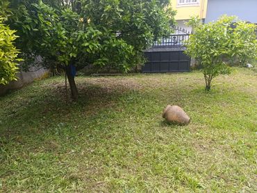 Terreny residencial en venda a A Pobra do Caramiñal