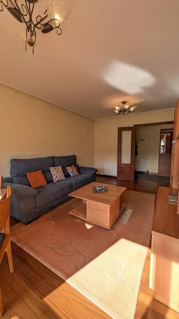 Sala de estar de Piso de alquiler en Piélagos con Calefacción, Terraza y Amueblado