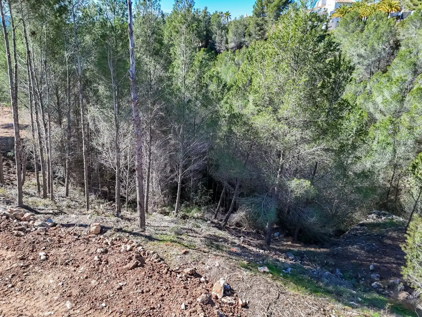 Terrenys i solars en venda a Callosa d'en Sarrià, imagen 3
