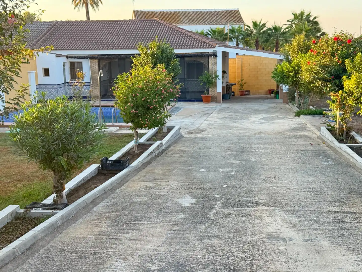 Vista exterior de Finca rústica en venta en Dos Hermanas