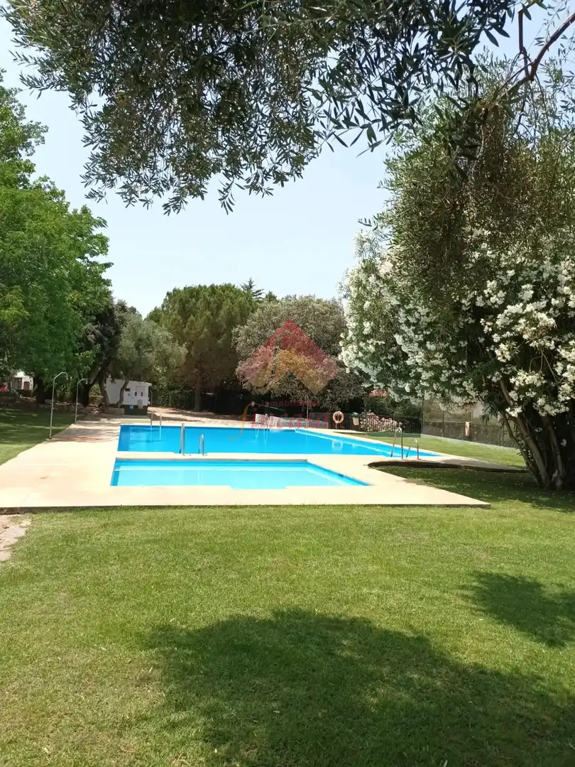 Casa amb piscina en venda a Partidas Norte