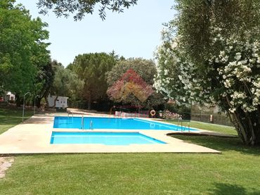 Casa amb piscina en venda a Partidas Norte