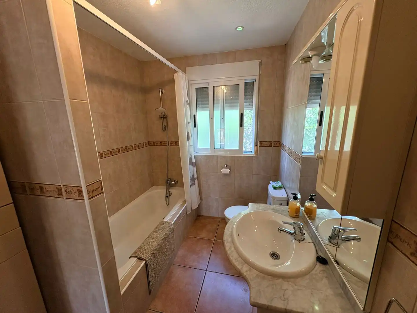 Houses for sale in Cañadas de San Pedro