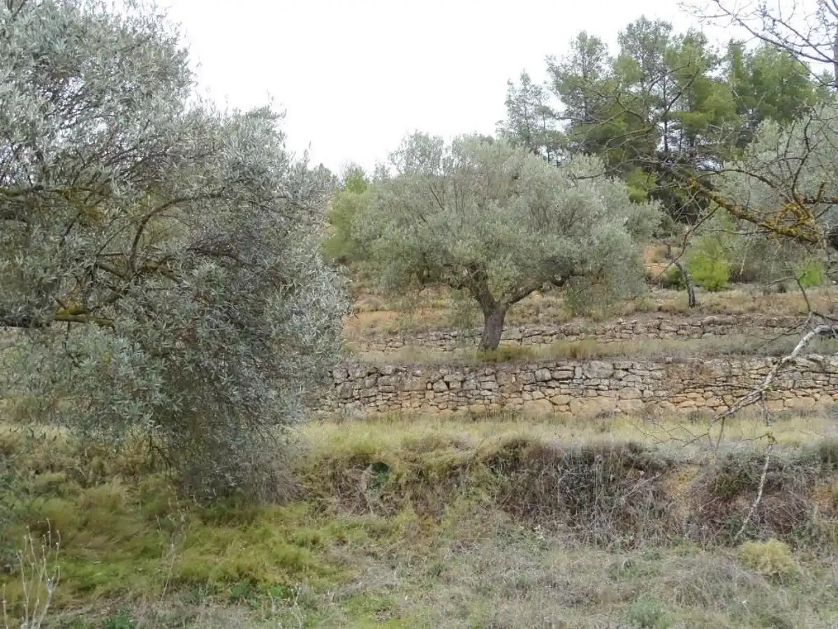 Casa rústica en venda a Lledó, imagen 3