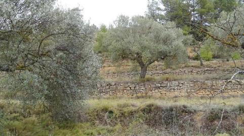 Foto 3 de Finca rústica en venta en Lledó, Teruel
