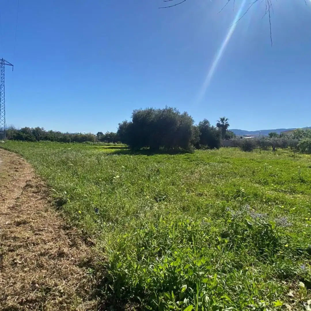 Terreno rustico in vendita a Alquería - Torrealquería, imagen 6