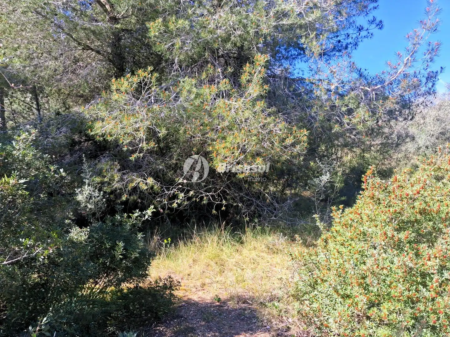 Rural land for sale in La Secuita, imagen 7