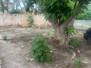 Terreni e lotti in vendita a Caravaca de la Cruz