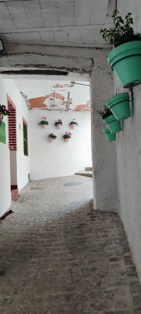Casa o chalet en venta en Serón con Terraza y Amueblado