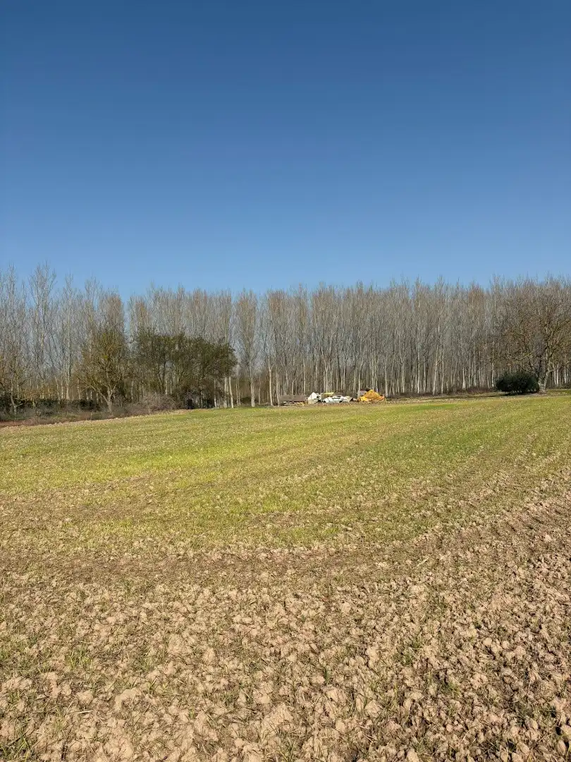 Rural land for sale in Agoncillo, imagen 2
