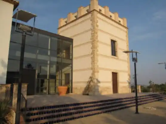 Exterior view of Buildings for sale in Almansa