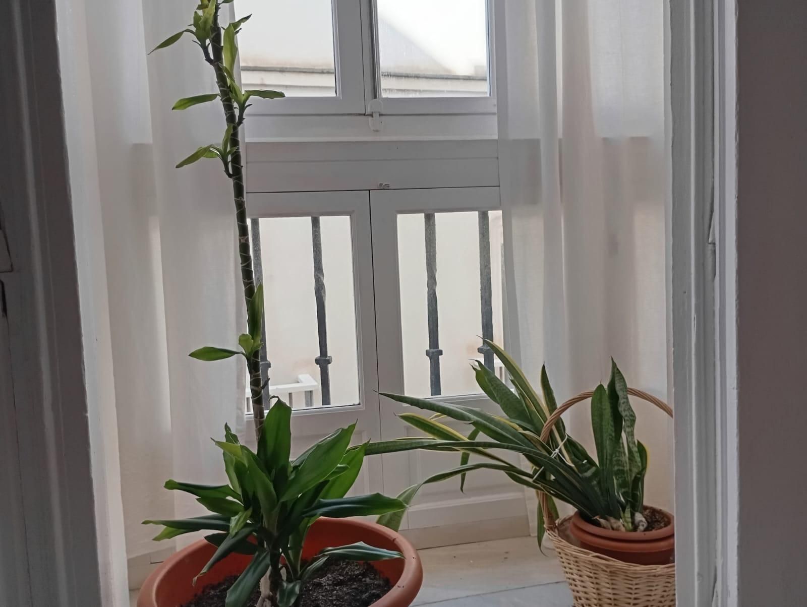 Balcony of Flat for sale in  Cádiz Capital  with Storage room and Balcony