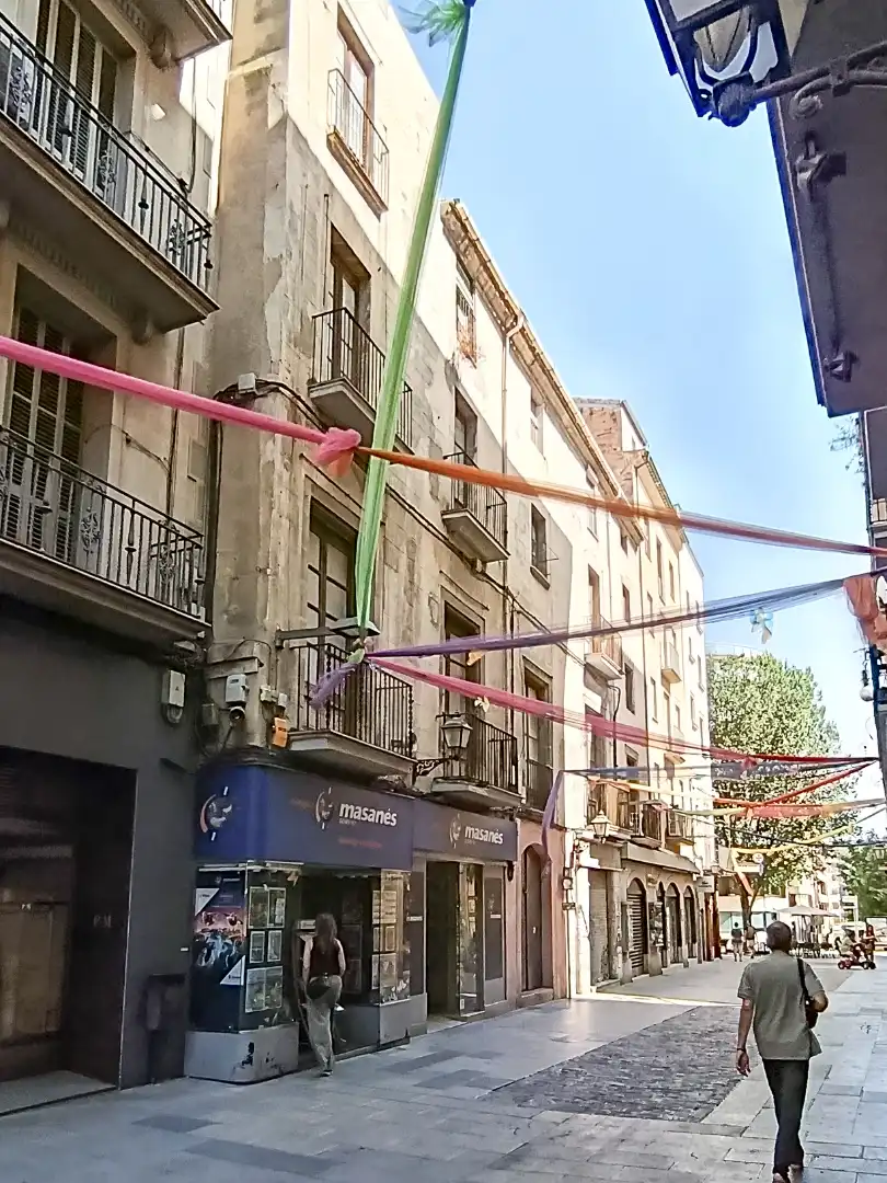 Residencial en venda a Carrer del Born 6, imagen 16