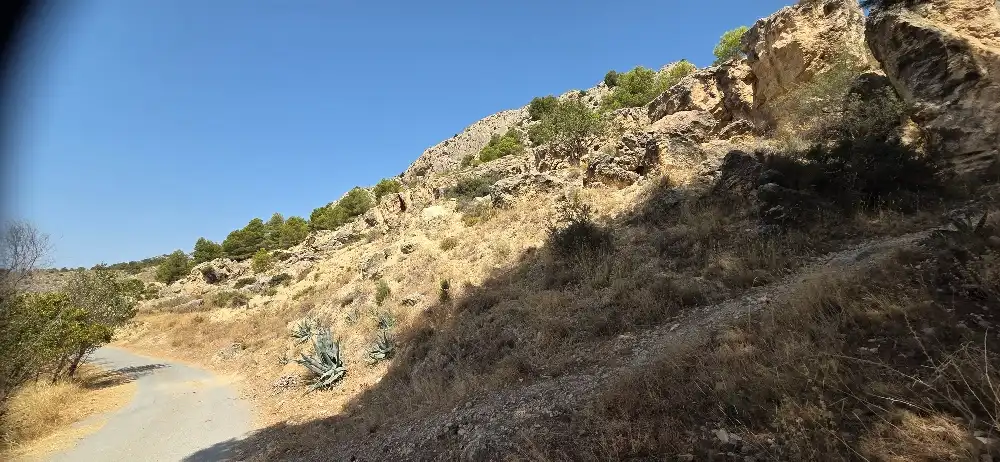Terreny rústic en venda a Onil, imagen 4