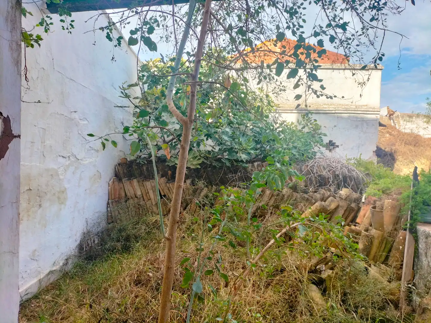 Maison avec terrasse à vendre à Olivares, imagen 9