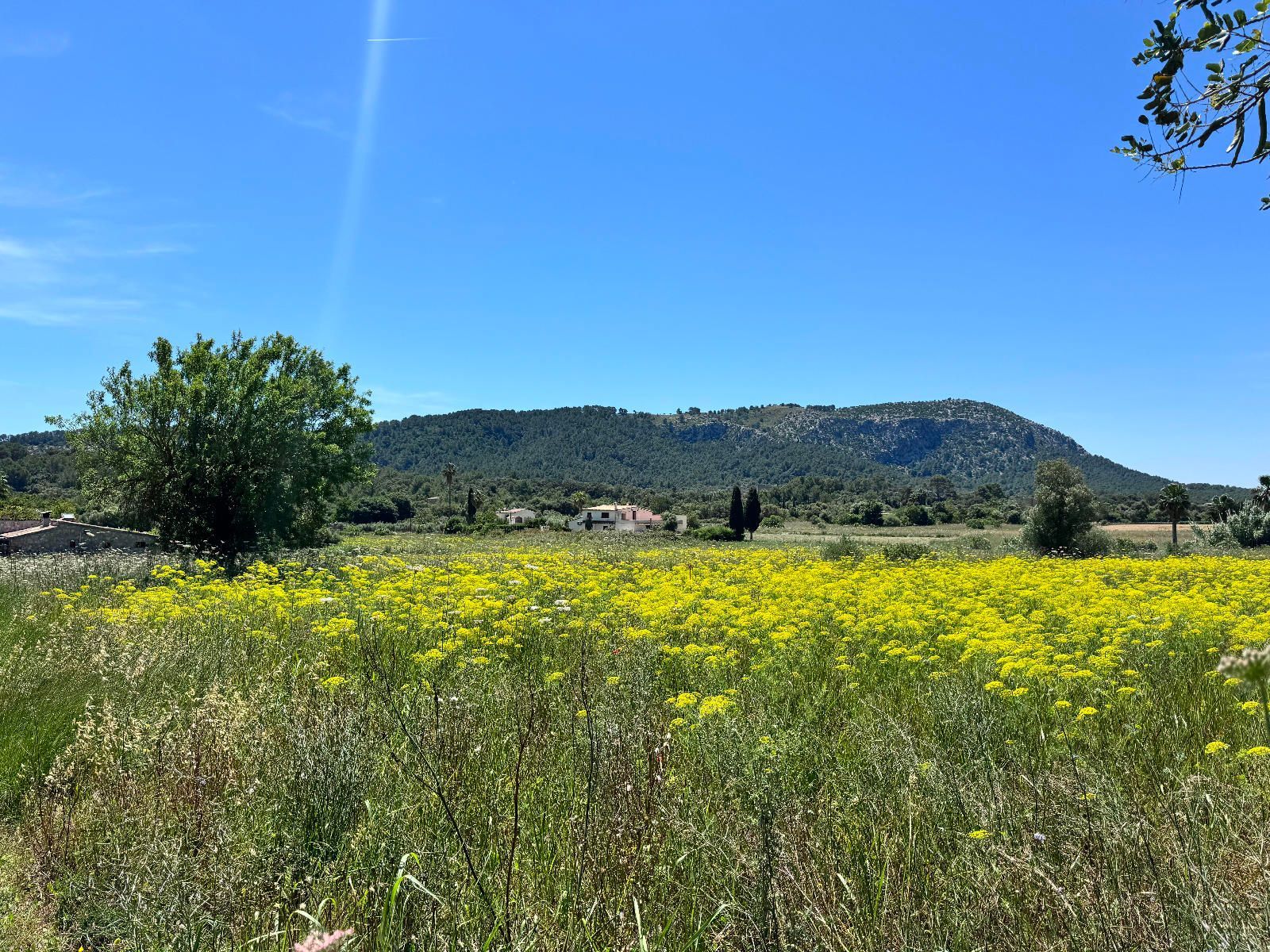 Residencial en venda en Pollença
