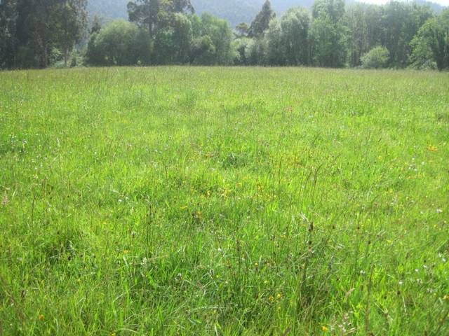 Terreno residencial en Venta en N/A en Sierín