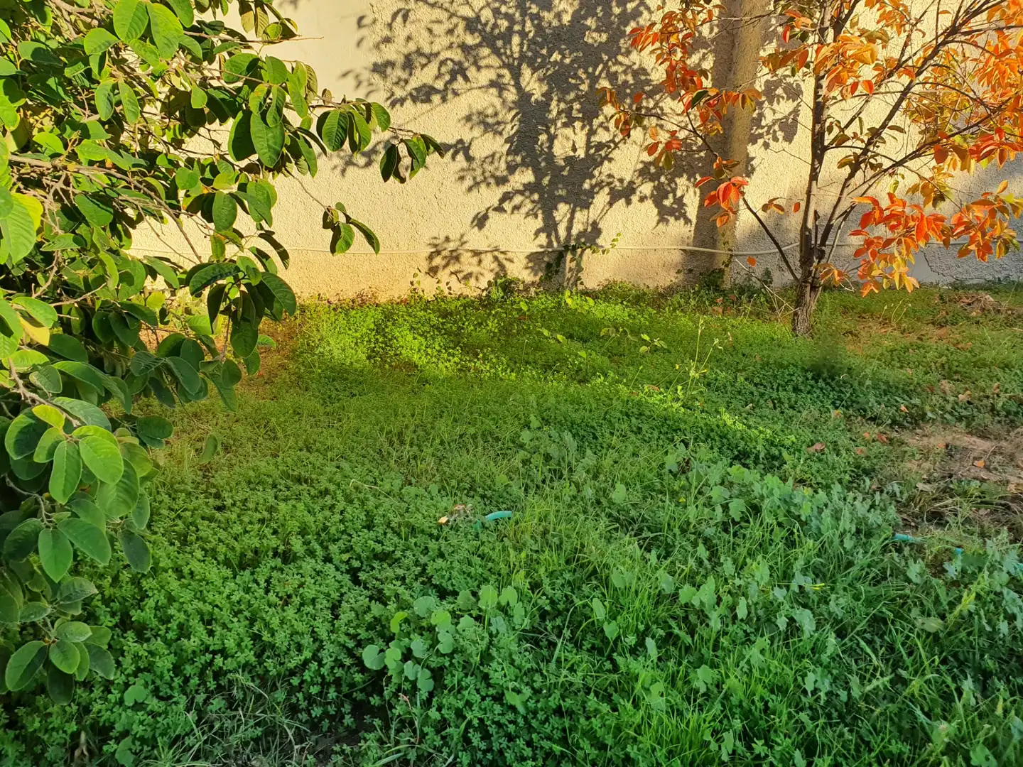 Casa rústica con piscina en venta en Buenavista - Lauro Golf, imagen 11