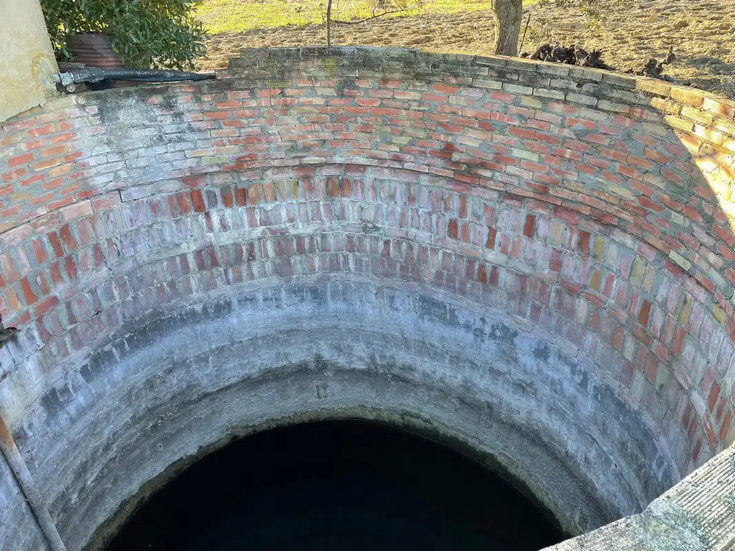 Finca rústica en venda a Bollullos Par del Condado