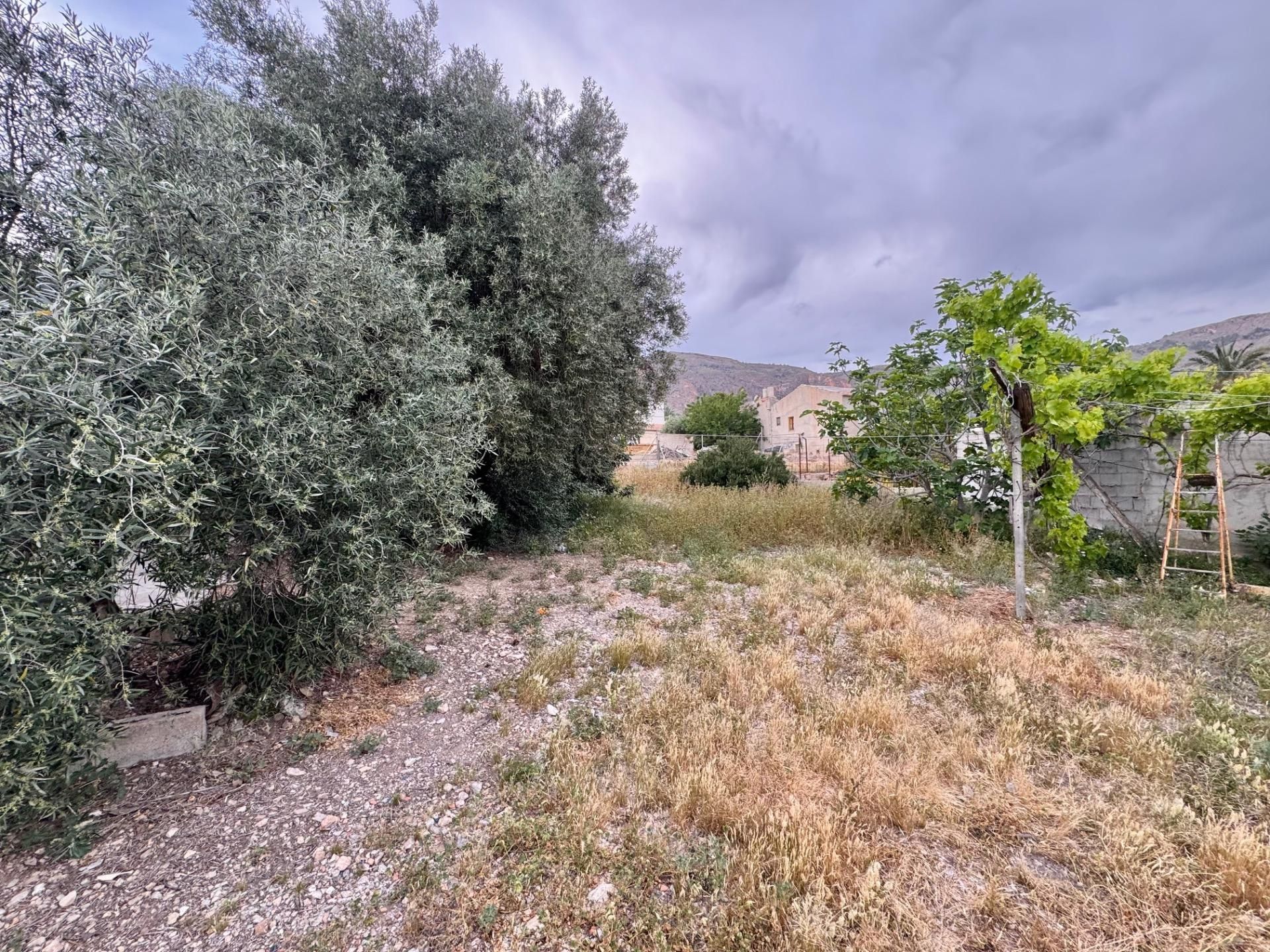 Casa o xalet en venda a Calle ESCUELAS-RAIGUERO BONANZA, 10, Montepinar - La Aparecida - Raiguero
