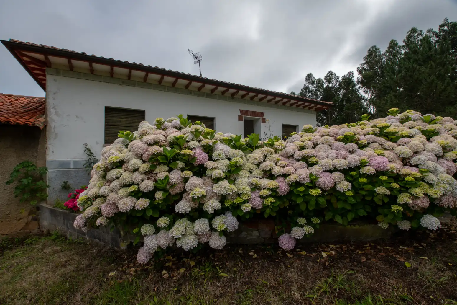 Garden of Houses for sale in Villaviciosa  with Private garden