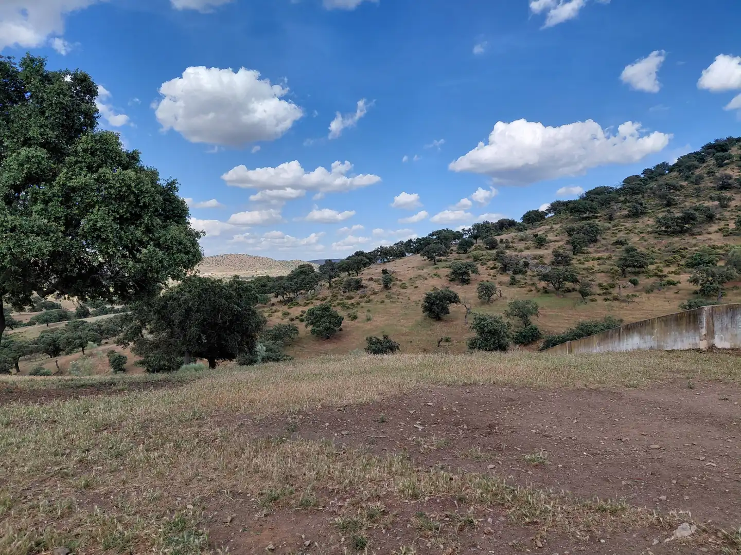 Finca rústica en venda en Fuente de Cantos amb Jardí privat, Forn i Rentadora
