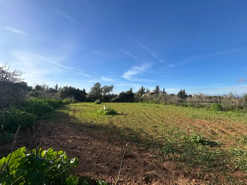 Land for sale in Muro