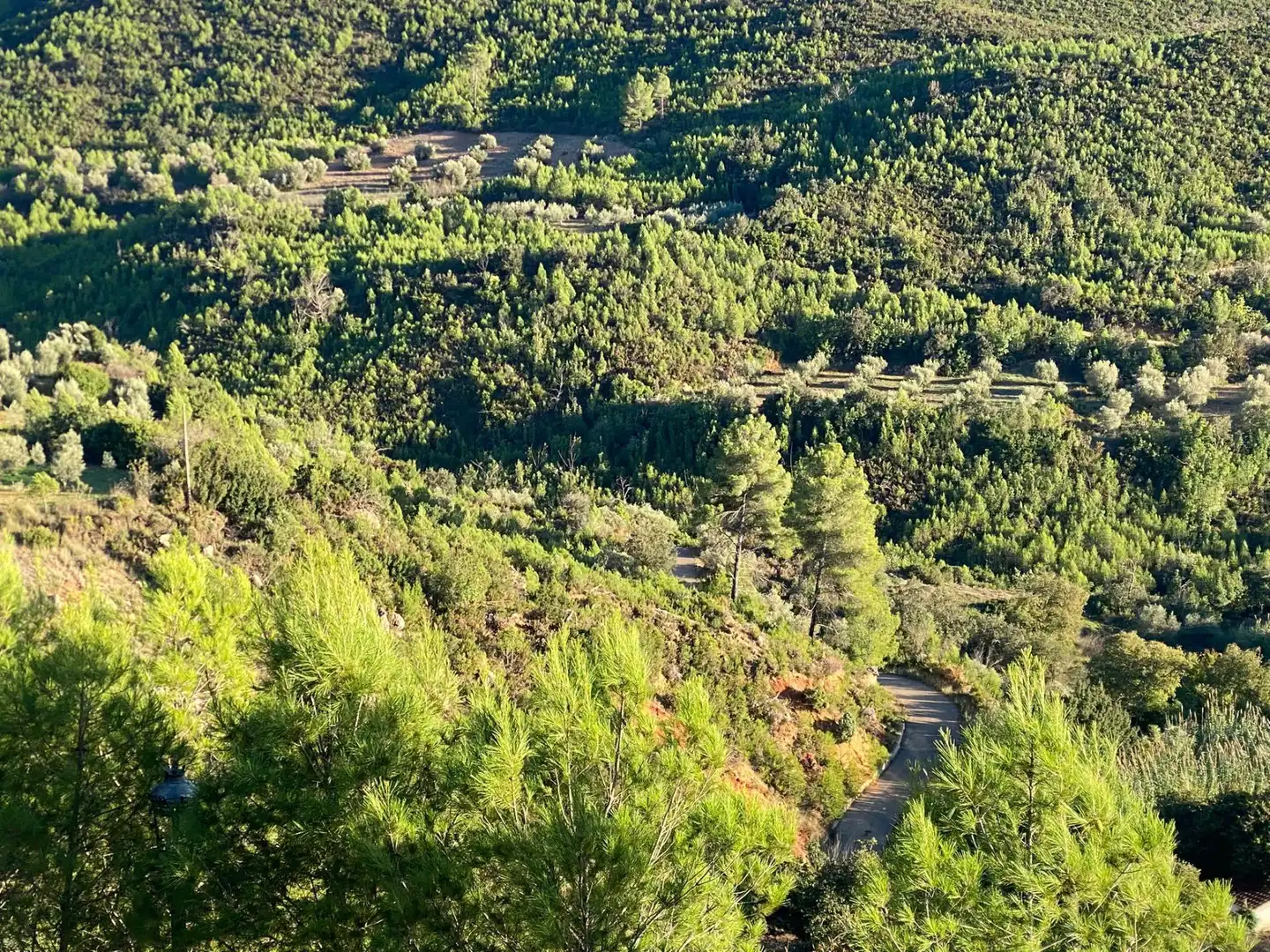 Terrenys i solars en venda a Cortes de Pallás, imagen 3