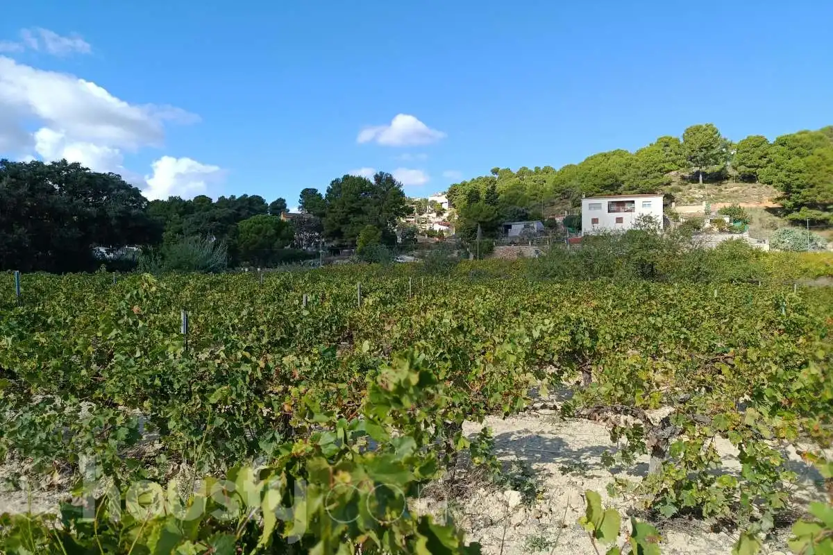 Residential zum Verkauf in Torrelles de Foix