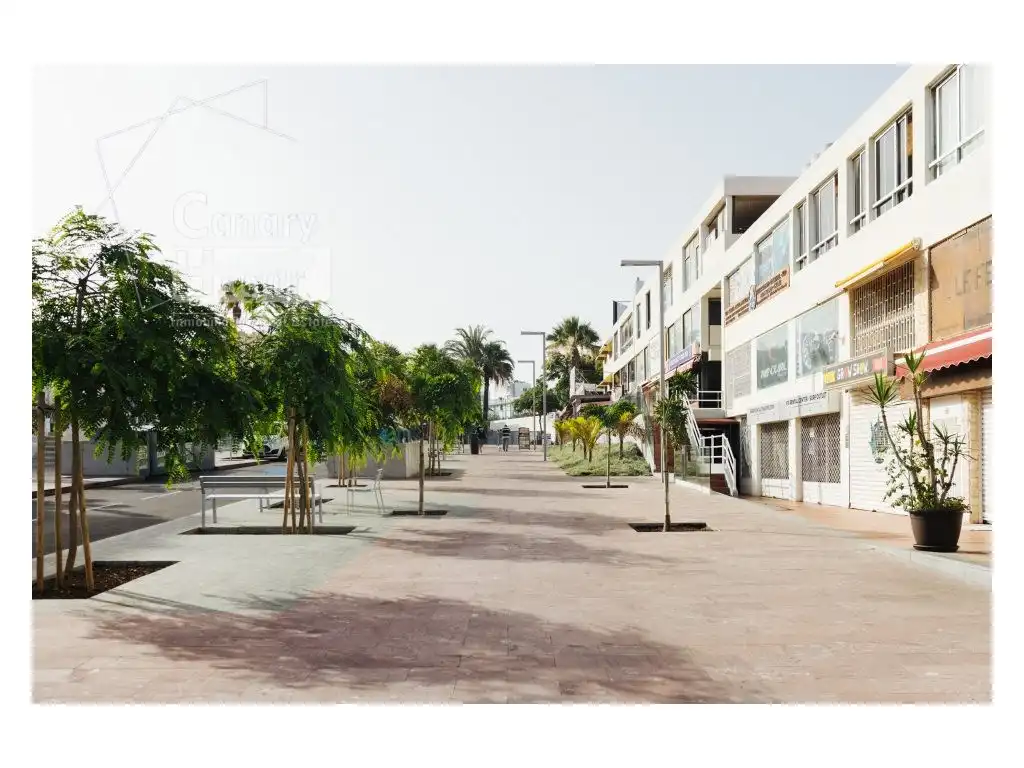 Local comercial en venda a Calle Mexico (Playa Americas), imagen 7