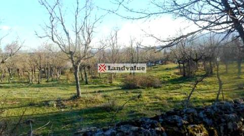 Foto 5 de Residencial en venda a De la Cebollita, 35, Cercedilla, Madrid