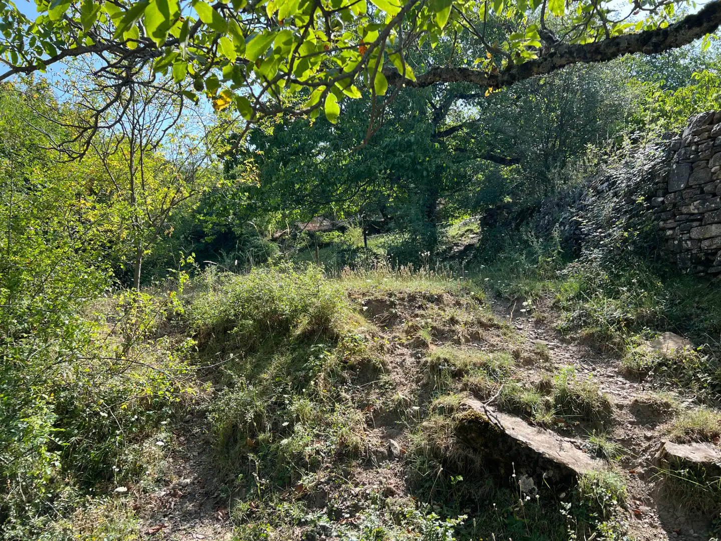 Land for sale in Broto