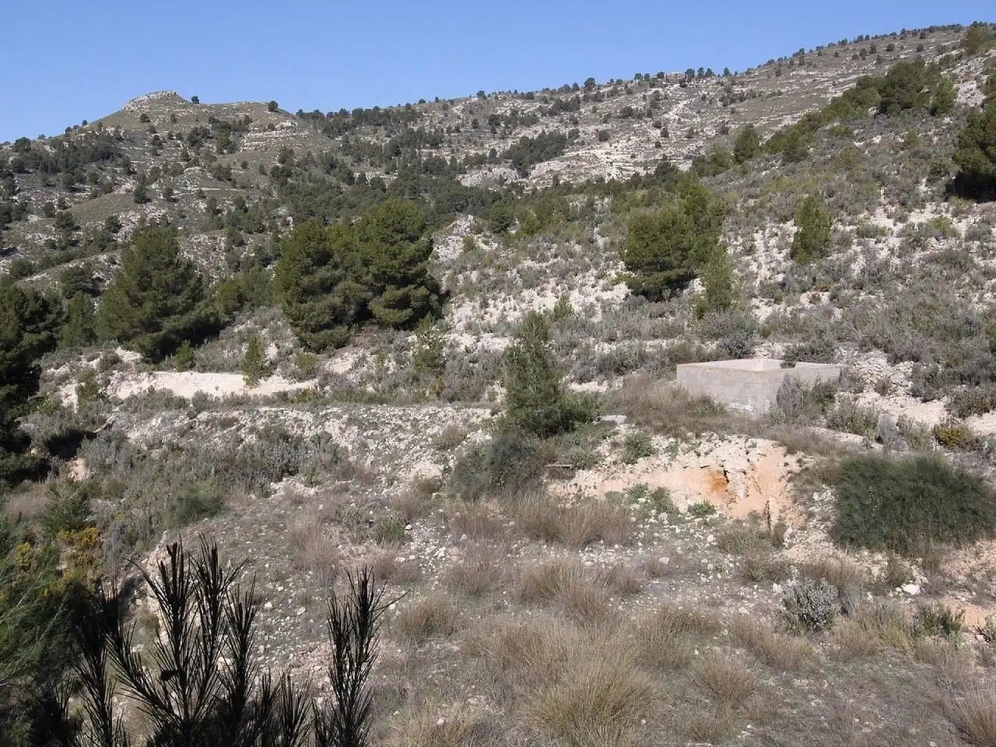 Chalet en venta en Petrer, imagen 13