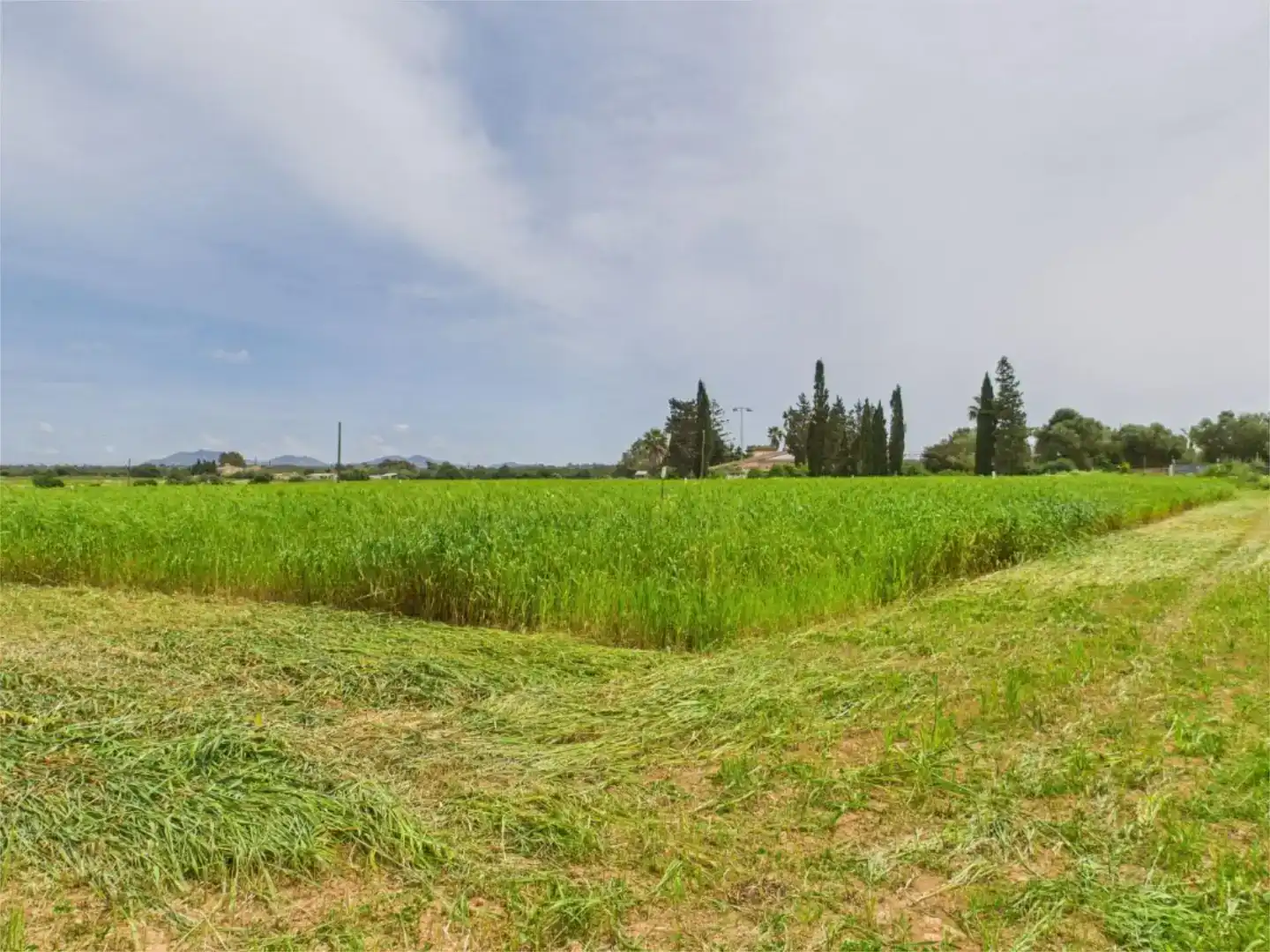 Country house zum Verkauf in Campos mit Schwimmbad