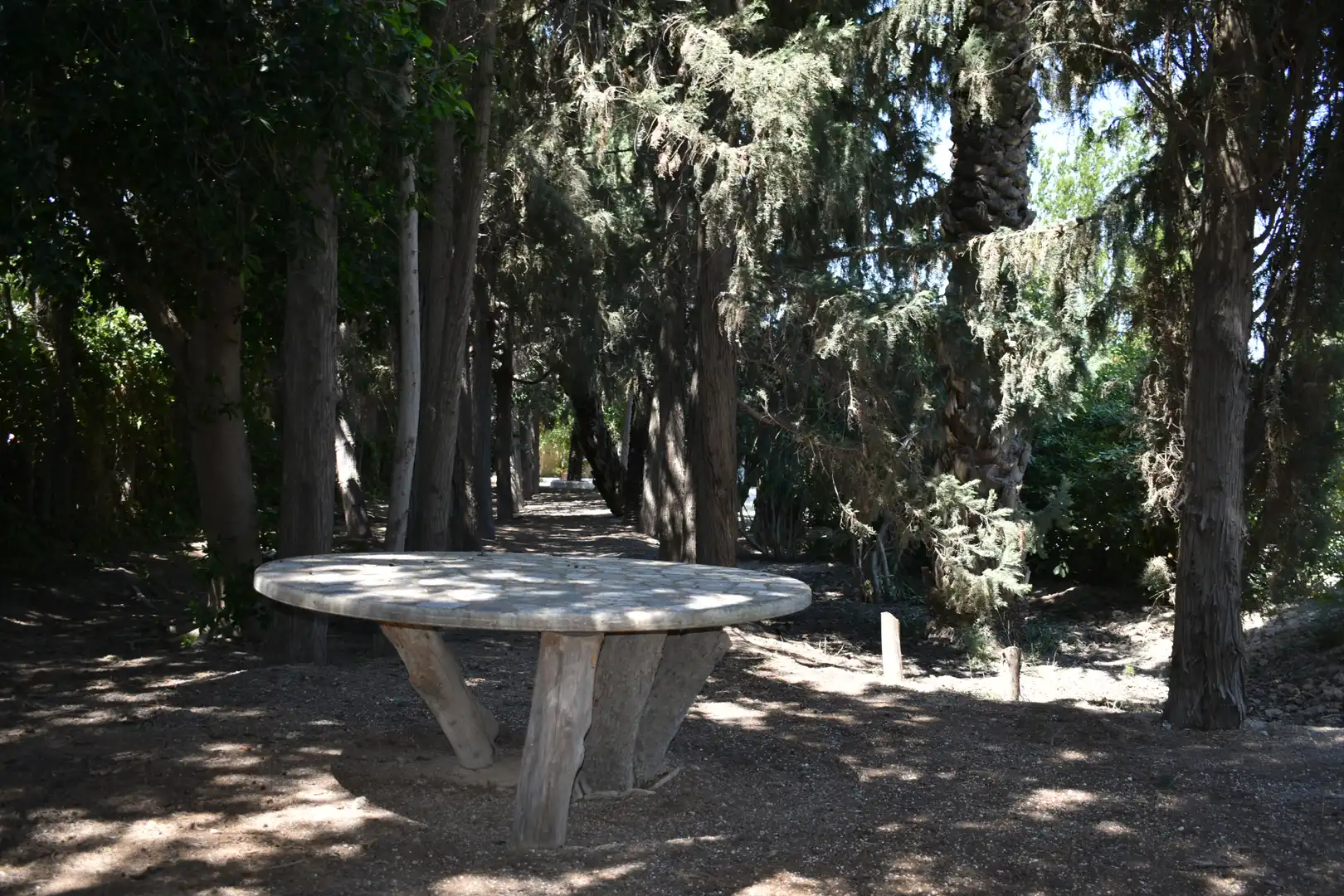 Jardín de Casa o chalet en venta en Elche / Elx con Jardín privado y Amueblado