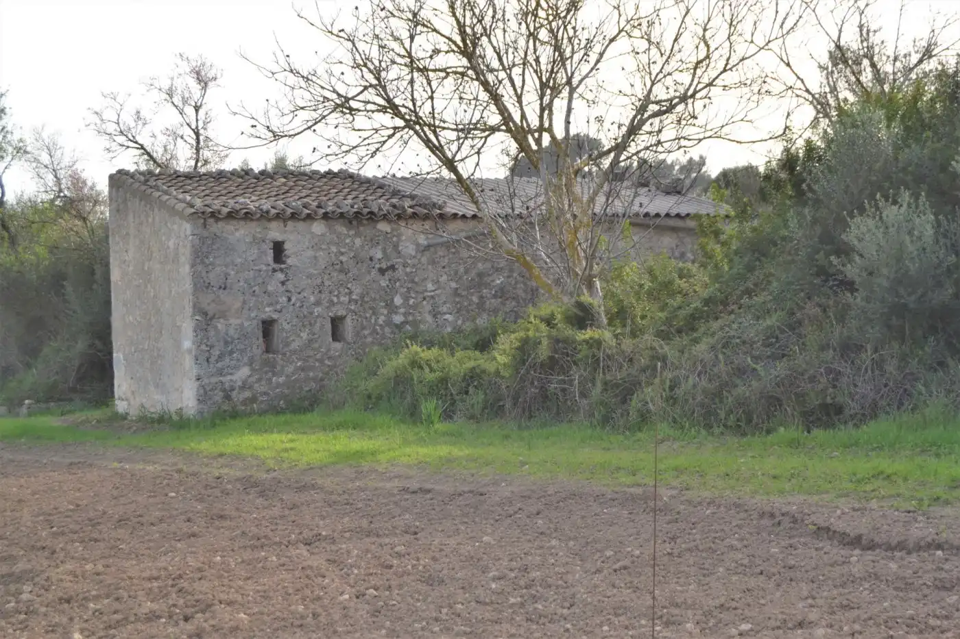 Landhaus zum Verkauf in Muro, imagen 8