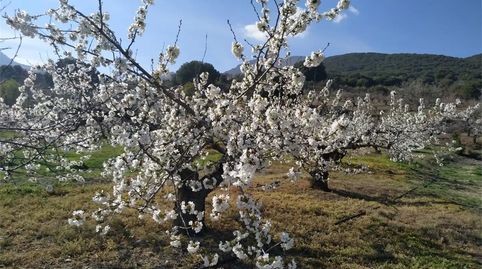 Foto 2 de Finca rústica en venda a Camino Navaparis, Torres, Jaén