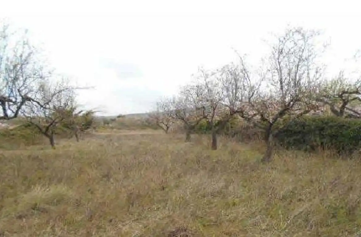 Terreny rústic en venda a Albocàsser, imagen 7