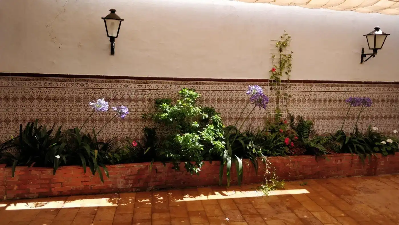 Jardín de Casa o chalet en venta en El Puerto de Santa María con Terraza