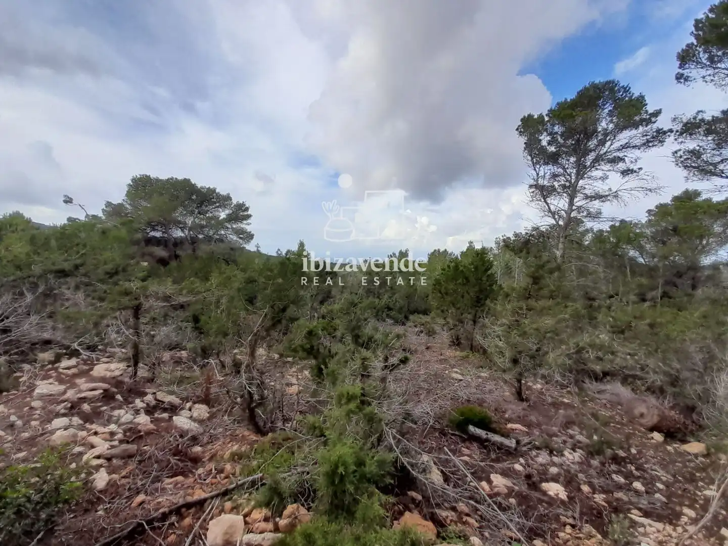 Terreny rústic en venda a de cala tarida, imagen 24